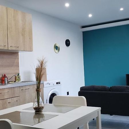 La Plume D'Or - Wifi - Parking Prive Apartment Lens Luaran gambar